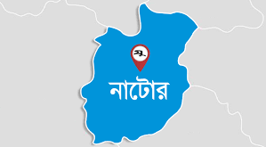 নাটোর