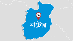 নাটোর